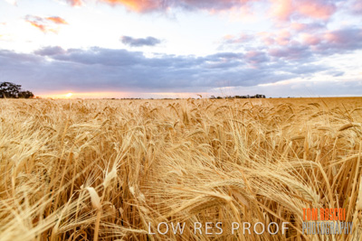 November 2019 / VITERRA_191112-7922