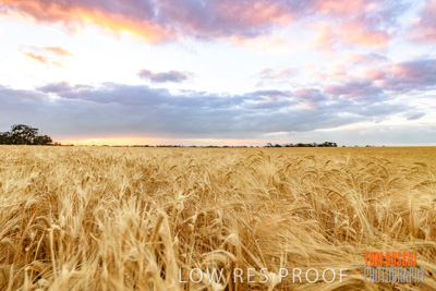 November 2019 / VITERRA_191112-7937