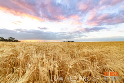 November 2019 / VITERRA_191112-7940