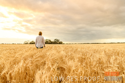 November 2019 / VITERRA_191112-8058