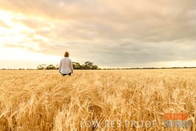 November 2019 / VITERRA_191112-8060