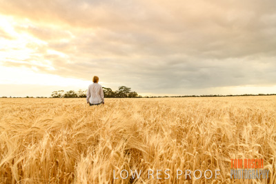 November 2019 / VITERRA_191112-8062
