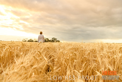 November 2019 / VITERRA_191112-8064