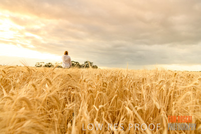 November 2019 / VITERRA_191112-8068