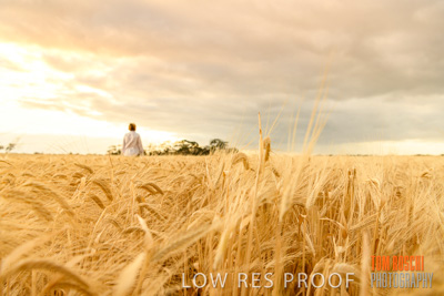 November 2019 / VITERRA_191112-8070