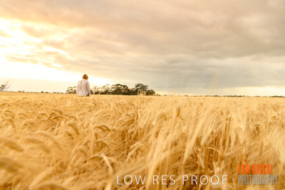 November 2019 / VITERRA_191112-8072