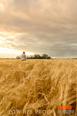 November 2019 / VITERRA_191112-8074