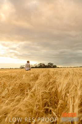 November 2019 / VITERRA_191112-8075