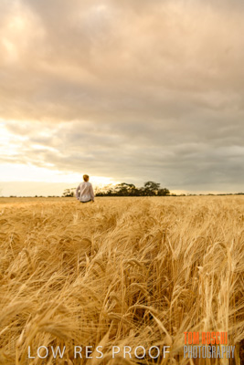 November 2019 / VITERRA_191112-8077