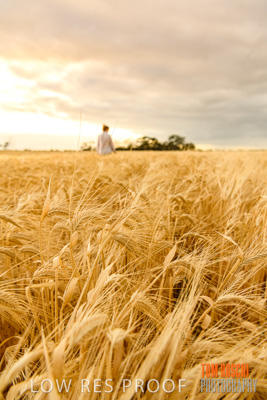 November 2019 / VITERRA_191112-8078