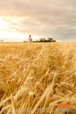 November 2019 / VITERRA_191112-8079