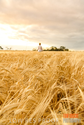 November 2019 / VITERRA_191112-8080