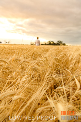 November 2019 / VITERRA_191112-8081