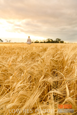 November 2019 / VITERRA_191112-8082