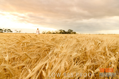 November 2019 / VITERRA_191112-8084