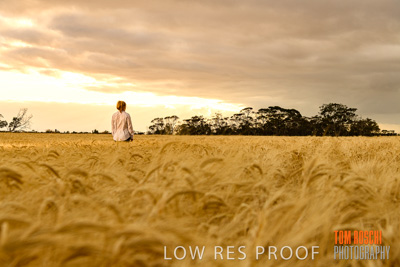 November 2019 / VITERRA_191112-8087