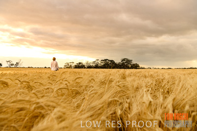 November 2019 / VITERRA_191112-8088