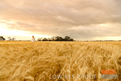 November 2019 / VITERRA_191112-8094