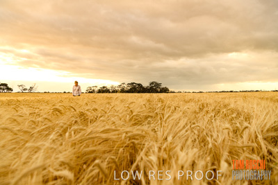 November 2019 / VITERRA_191112-8096