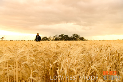 November 2019 / VITERRA_191112-8101