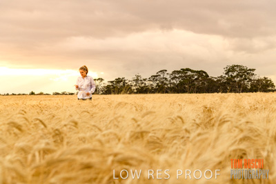 November 2019 / VITERRA_191112-8113