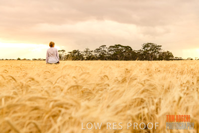 November 2019 / VITERRA_191112-8120