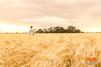 November 2019 / VITERRA_191112-8121