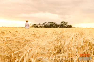 November 2019 / VITERRA_191112-8122