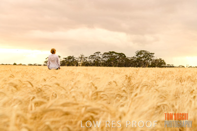 November 2019 / VITERRA_191112-8125