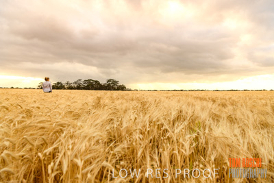 November 2019 / VITERRA_191112-8127