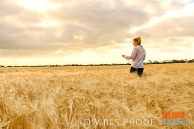 November 2019 / VITERRA_191112-8141