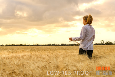 November 2019 / VITERRA_191112-8143