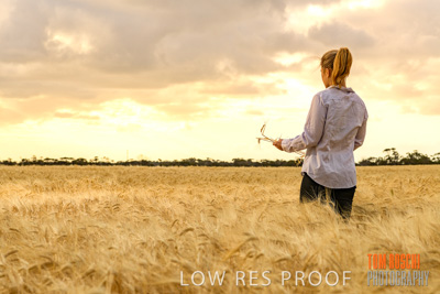 November 2019 / VITERRA_191112-8145