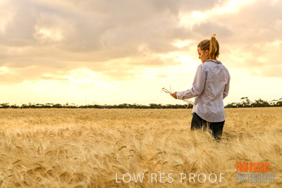 November 2019 / VITERRA_191112-8146