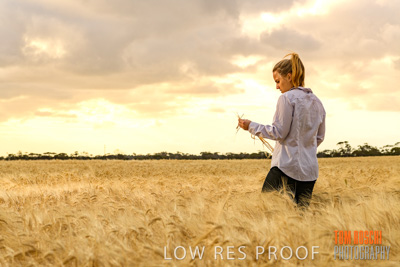 November 2019 / VITERRA_191112-8147