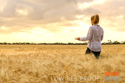 November 2019 / VITERRA_191112-8149