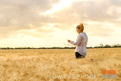 November 2019 / VITERRA_191112-8153