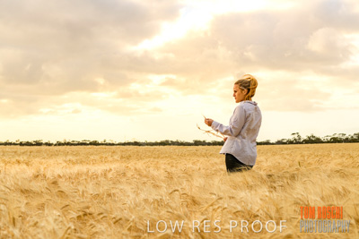 November 2019 / VITERRA_191112-8154