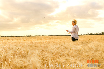 November 2019 / VITERRA_191112-8156