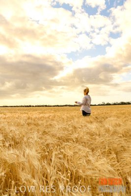 November 2019 / VITERRA_191112-8159