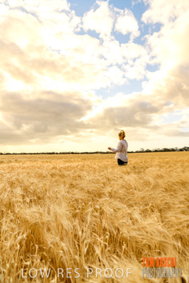 November 2019 / VITERRA_191112-8161