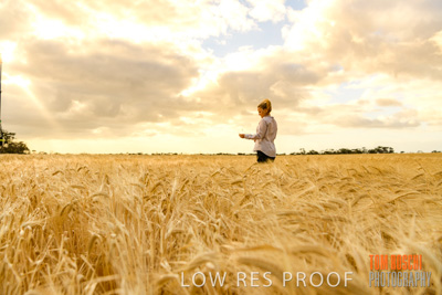 November 2019 / VITERRA_191112-8164