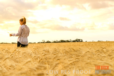 November 2019 / VITERRA_191112-8179