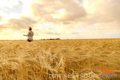 November 2019 / VITERRA_191112-8180