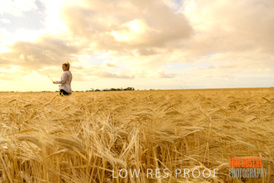 November 2019 / VITERRA_191112-8181