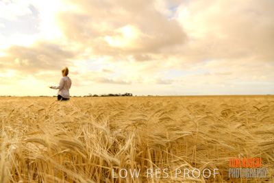 November 2019 / VITERRA_191112-8183