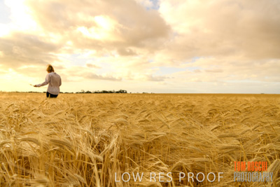 November 2019 / VITERRA_191112-8186