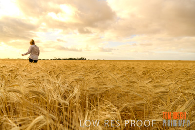 November 2019 / VITERRA_191112-8188