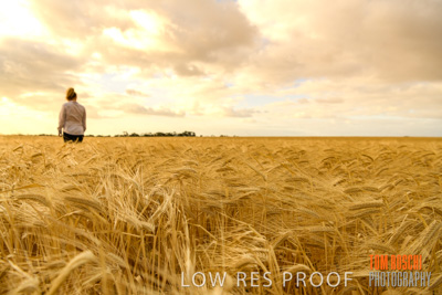 November 2019 / VITERRA_191112-8189