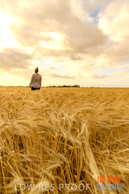 November 2019 / VITERRA_191112-8192